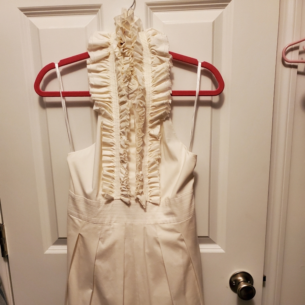 BCBG Maxazria Dress